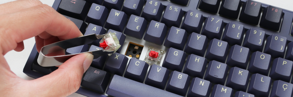 Hot-swappable switches