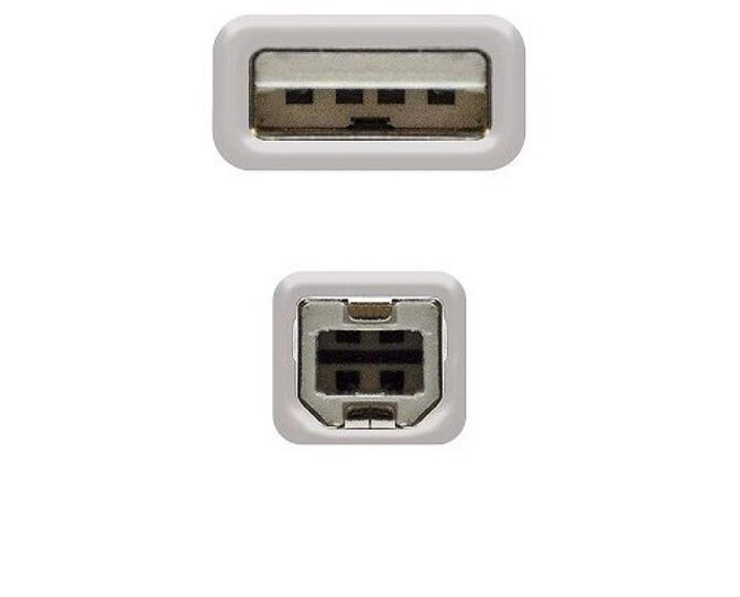 Cabo USB 2.0 Nanocable USB-A/M > USB-B/M 1 M Bege image number 2
