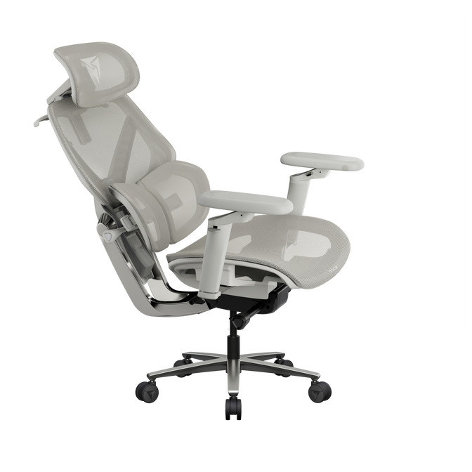 Cadeira Ergon&oacute;mica TX3 (ThunderX3) FLEX Pro, Apoio lombar 360&deg; - Mesh Grey image number 4