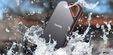 Disco Externo SSD SanDisk 2TB Extreme Pro Portable Gen 2 image number null