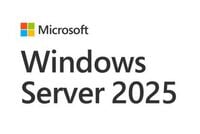 Microsoft Windows Server CAL 2025 1 Client User Portuguese DSP