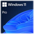 Microsoft Windows 11 Pro 64-bit PT OEM image number null