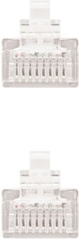 Cabo de Rede Nanocable RJ45 CAT.6 UTP AWG24 25 CM image number null