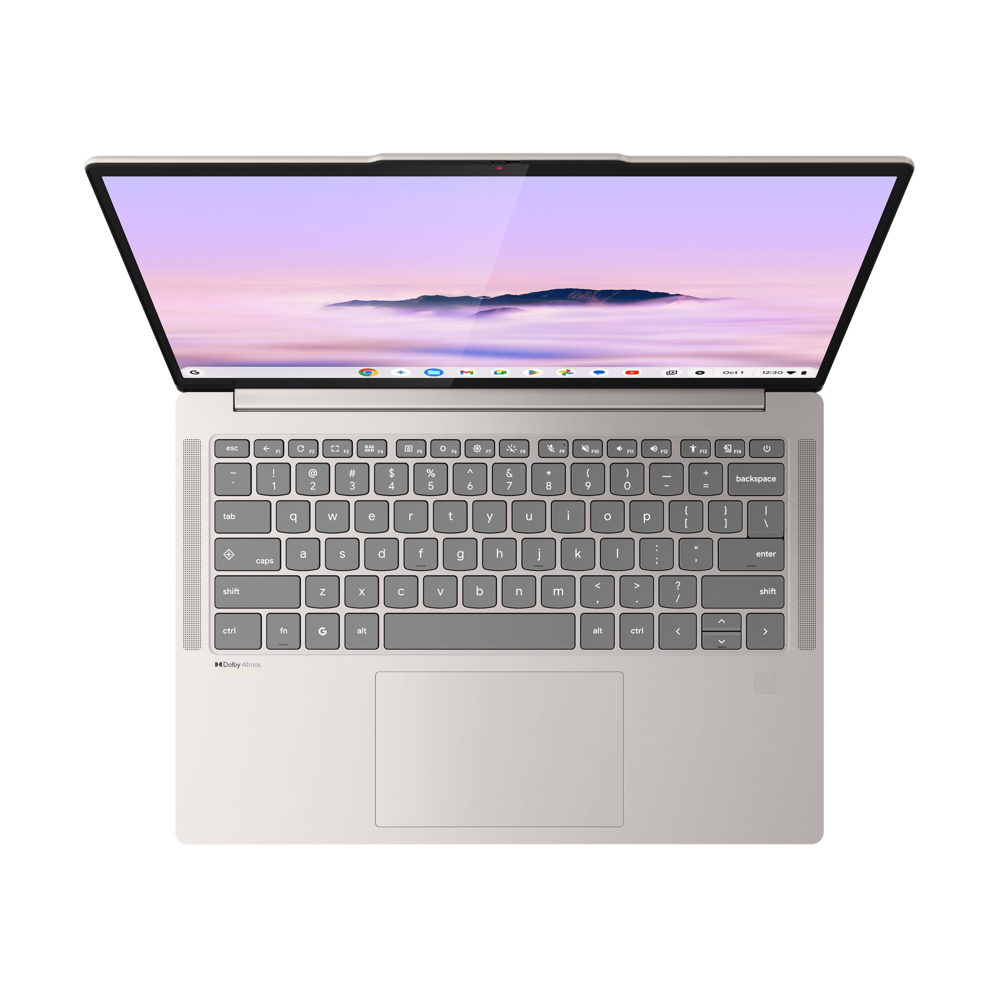 Portátil Lenovo IdeaPad Chromebook Plus 14M9610-442 14