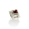 Pack 110 Switches Ducky Gateron G Pro Brown RGB, Mec&acirc;nicos, 3-Pin, T&aacute;ctil, MX-Stem, 55g image number null