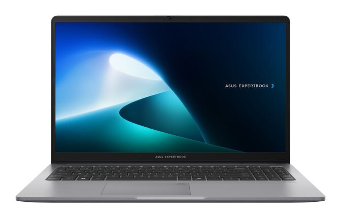 Port&aacute;til ASUS Expertbook P1 P1503 15.6" Core 5 210H 16GB DDR5 512GB FHD W11Pro Bonus