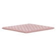 Thermal Pad Thermal Grizzly Minus Pad 8 30 x 30 x 1.0 mm (Pack 2) image number null