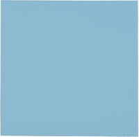 Thermal Pad Thermal Grizzly Minus Pad Pro 100 x 100 x 1.0 mm