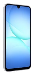 Smartphone Samsung Galaxy A17 6.7" (4 / 128GB) 90Hz Cinzento image number null