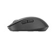 Rato Logitech Signature M650 Wireless Graphite image number null