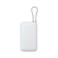 Power Bank Xiaomi 20000mAh (Cabo Integrado) Cinzento