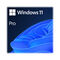 Microsoft Windows 11 Pro 64-bit EN OEM