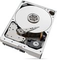Disco Seagate IronWolf Pro 10TB 7200rpm 256MB SATA III image number null