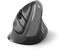 Rato &Oacute;ptico Ewent EW3229 Vertical/Ergonomic Mouse Wireless 2400DPI Preto
