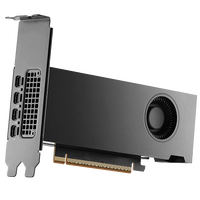 Gr&aacute;fica NVIDIA RTX PRO 2000 Blackwell 24GB GDDR7 (bulk)