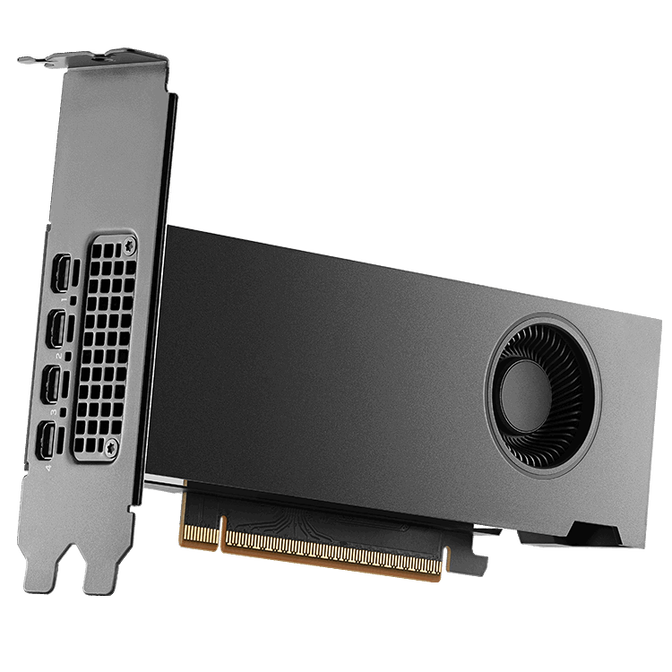 Gr&aacute;fica NVIDIA RTX PRO 2000 Blackwell 24GB GDDR7 (bulk) image number 0
