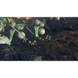 Jogo Nintendo Xenoblade Chronicles 3 Nintendo Switch 2 Edition image number null