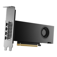 Gr&aacute;fica NVIDIA Quadro RTX 2000 ADA FH 16GB GDDR6 (Bulk)
