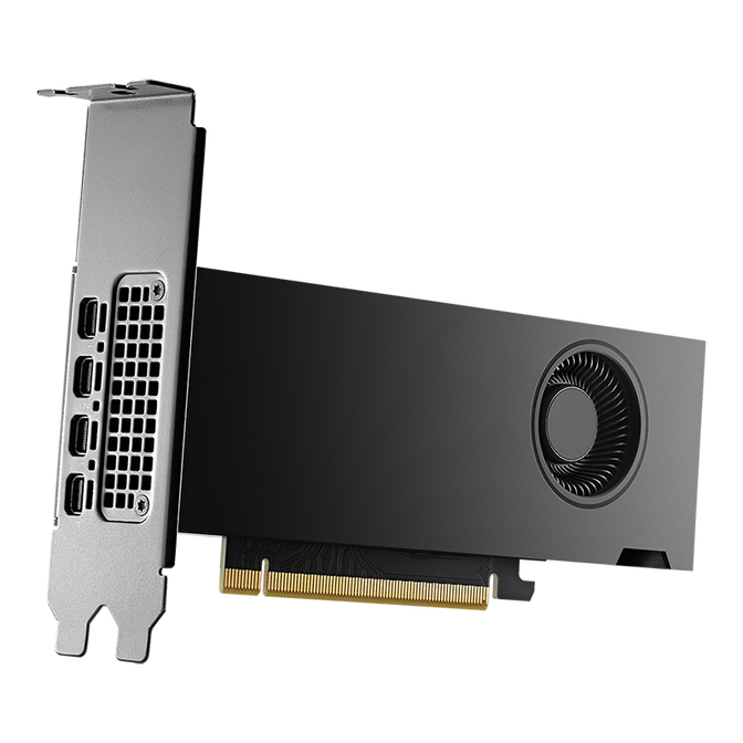Gr&aacute;fica NVIDIA Quadro RTX 2000 ADA FH 16GB GDDR6 (Bulk) image number 0