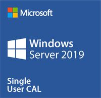 Microsoft Windows Server CAL 2019 1 Client User Portuguese DSP