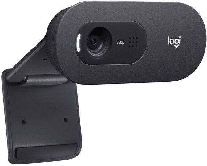 Webcam Logitech C505e HD 720p image number 1