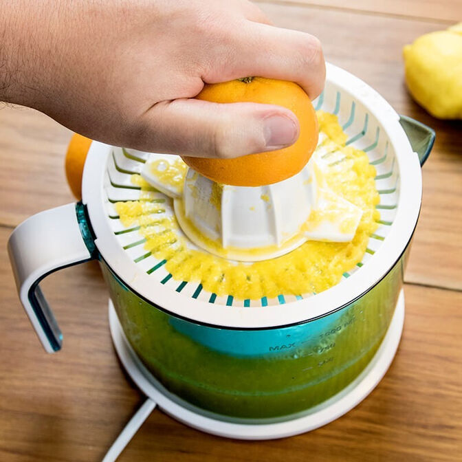 Espremedor de Sumo Cecotec Zitrus Easy Basic 40W image number 1