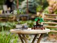 LEGO Botanicals: Bonsai, 878 Pe&ccedil;as (10281) image number null