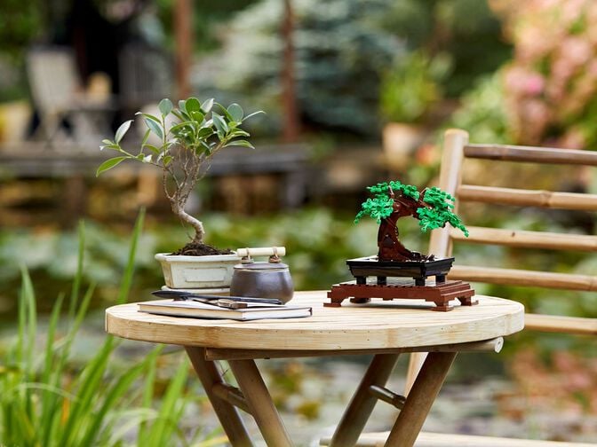 LEGO Botanicals: Bonsai, 878 Pe&ccedil;as (10281) image number 10