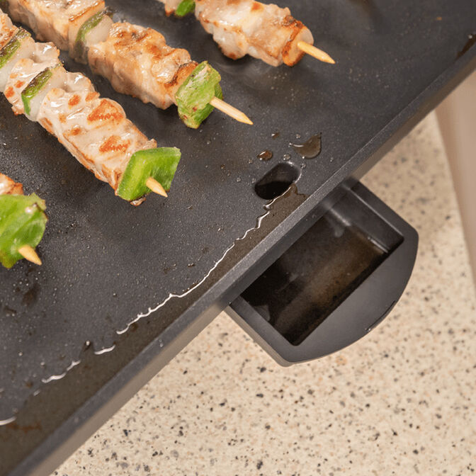 Grelhador El&eacute;ctrico Cecotec Magnet 1800 1800W image number 8