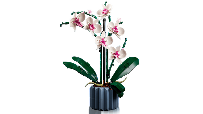 LEGO Botanicals: Orqu&iacute;dea, 608 Pe&ccedil;as (10311) image number 4