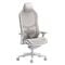 Cadeira Ergon&oacute;mica Fractal Design Refine 2 Mesh Light