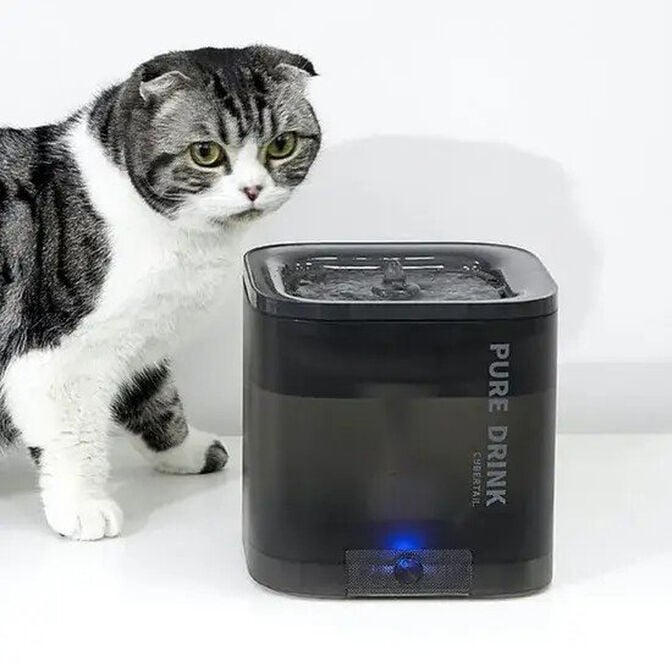Bebedouro Autom&aacute;tico PETKIT Eversweet Solo SE Cinzento image number 3