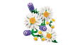 LEGO Botanicals: Margaridas, 133 Pe&ccedil;as (11508) image number null