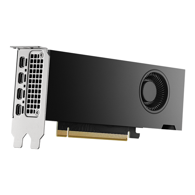 Gr&aacute;fica NVIDIA Quadro RTX 2000 ADA FH 16GB GDDR6 (Bulk) image number 1