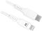 Cabo USB 3.1 Gen 1 Ewent Tipo C > Lightning Macho/Macho 1 M Branco