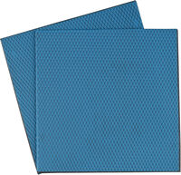 Thermal Pad Thermal Grizzly Minus Pad Basic 100 x 100 x 1.5 mm(Pack 2)