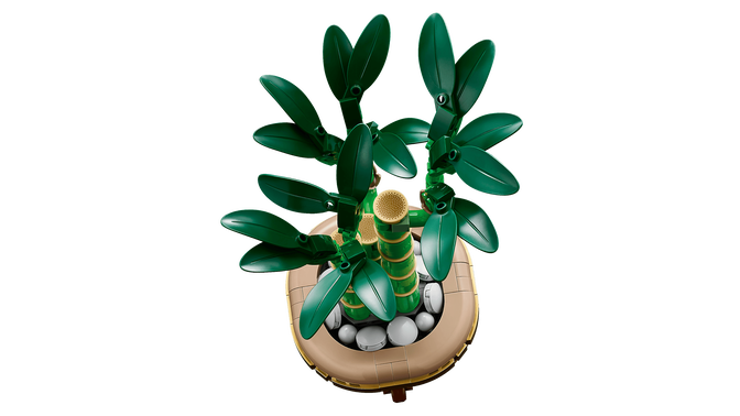 LEGO Botanicals: Bambu da Sorte, 325 Pe&ccedil;as (10344) image number 3