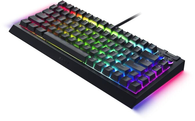 Teclado Razer BlackWidow V4 75% RGB Tactile Switch (US) image number 11