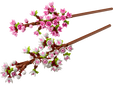 LEGO Botanicals: Cerejeiras, 430 Pe&ccedil;as (40725) image number null