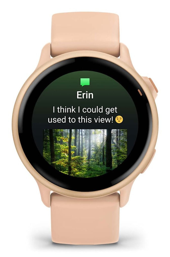 Smartwatch Garmin V&iacute;voactive 6 42mm Rosa image number 1