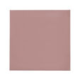 Thermal Pad Thermal Grizzly Minus Pad 8 100 x 100 x 1 mm (Pack 2) image number null