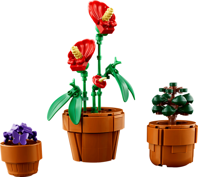LEGO Botanicals: Plantas em Miniatura, 758 Pe&ccedil;as (10329) image number 2