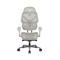 Cadeira Ergon&oacute;mica TX3 (ThunderX3) FLEX Pro, Apoio lombar 360&deg; - Mesh Grey