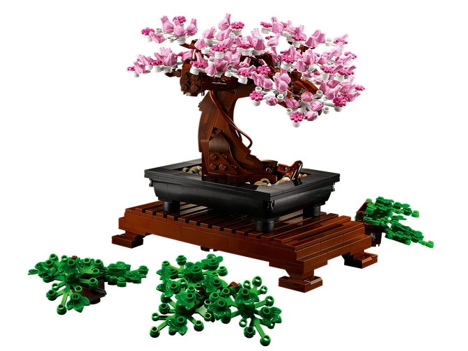 LEGO Botanicals: Bonsai, 878 Pe&ccedil;as (10281) image number 5