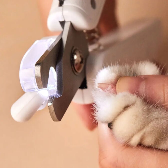 Corta-Unhas PETKIT LED Nail Clipper Pro Branco image number 5