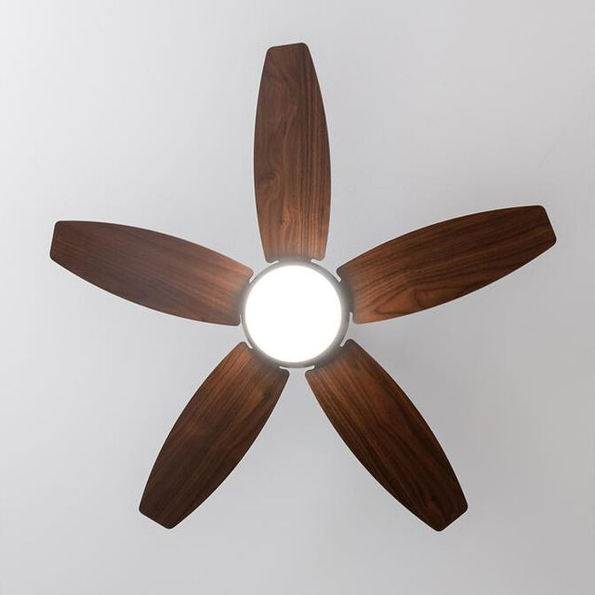Ventoinha Cecotec EnergySilence Aero 4200 Black & Darkwood image number 4