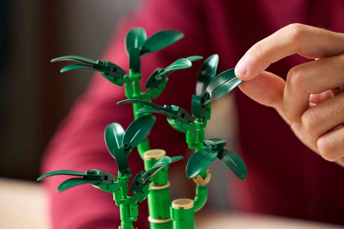 LEGO Botanicals: Bambu da Sorte, 325 Pe&ccedil;as (10344) image number 4