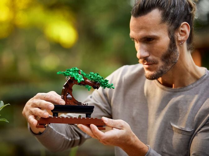 LEGO Botanicals: Bonsai, 878 Pe&ccedil;as (10281) image number 8