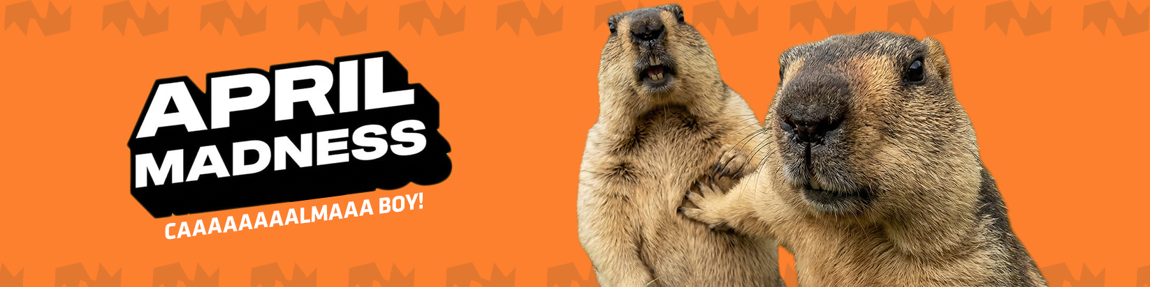 Campanha April Madness